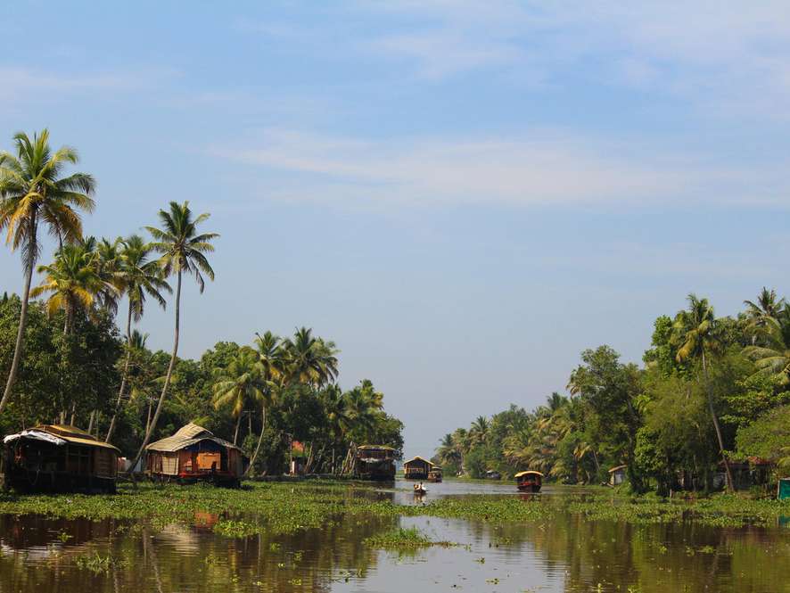 Tours and trips in Alleppey