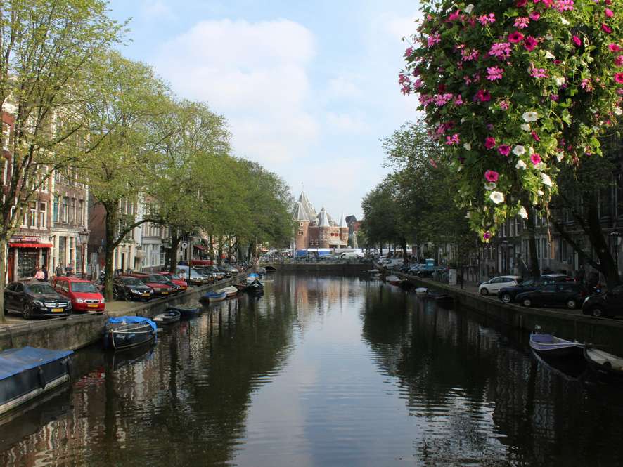 Tours and trips in Amsterdam