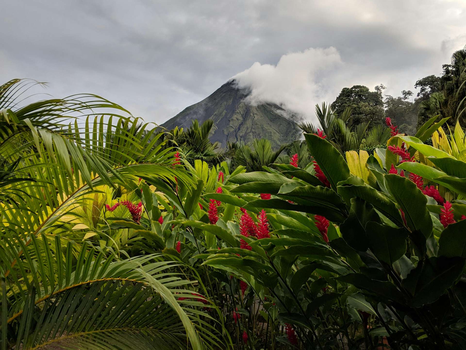 Tours and trips in Arenal Volcano
