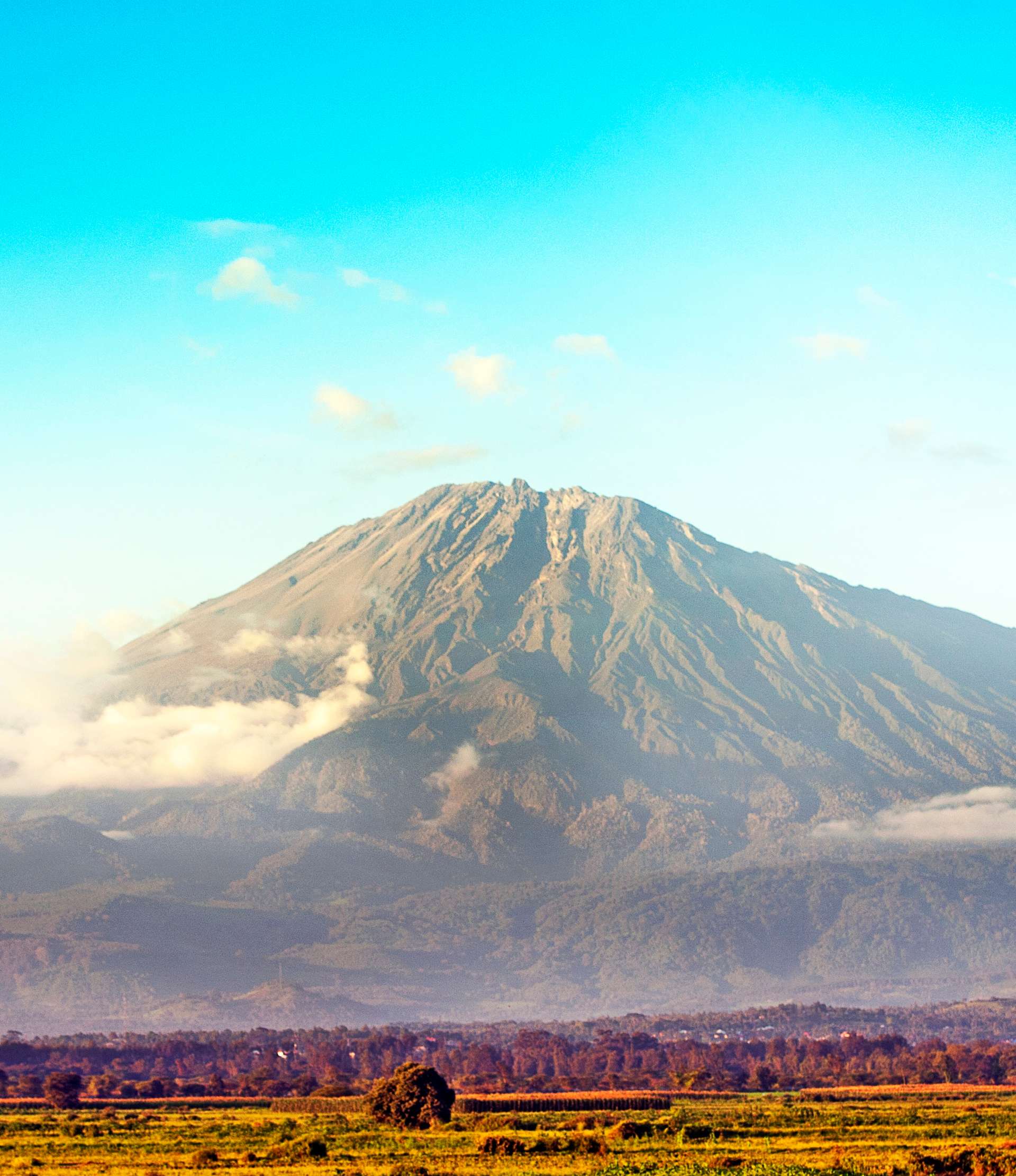 Tours and trips in Arusha