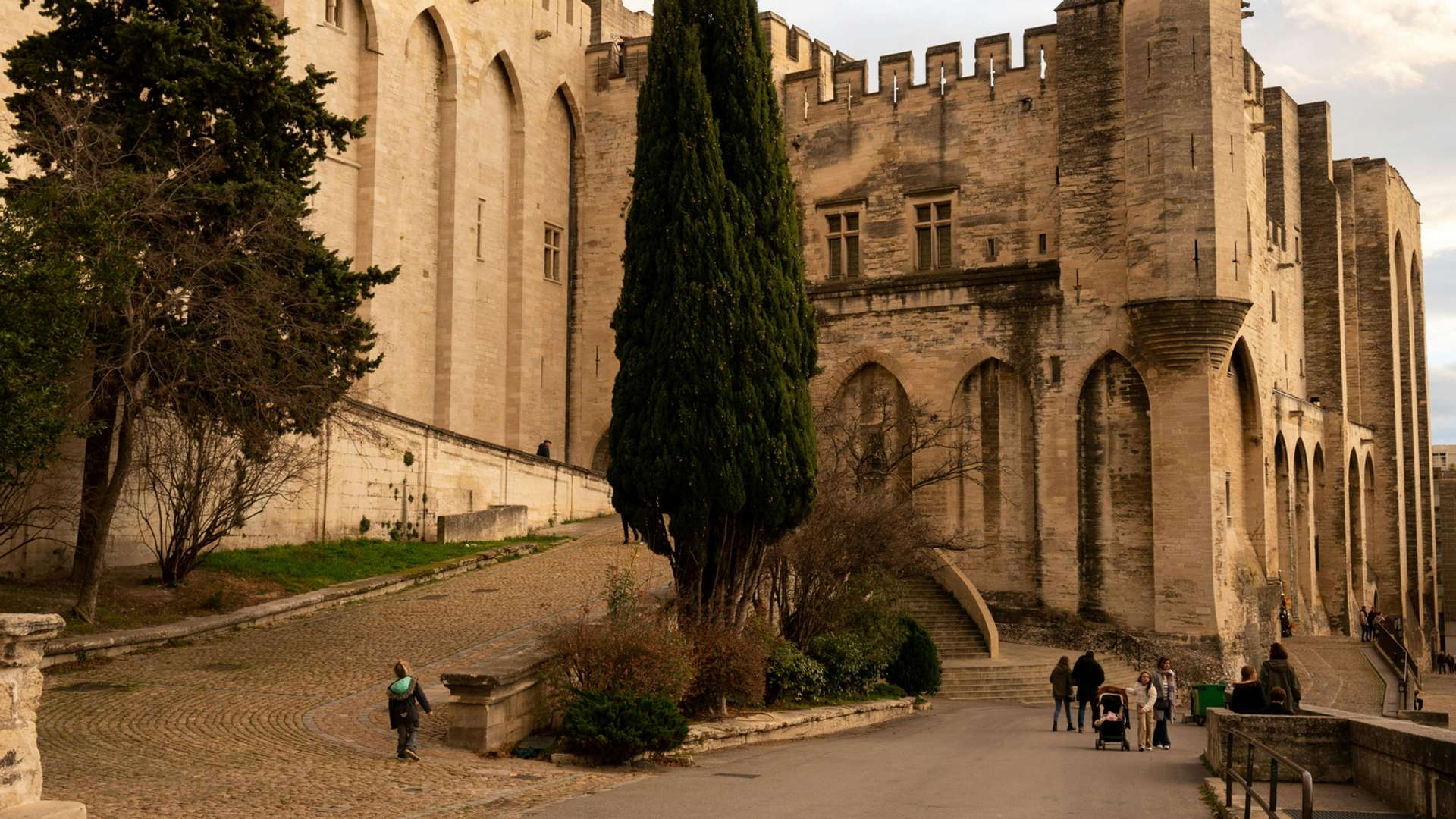 Avignon Tours and Trips