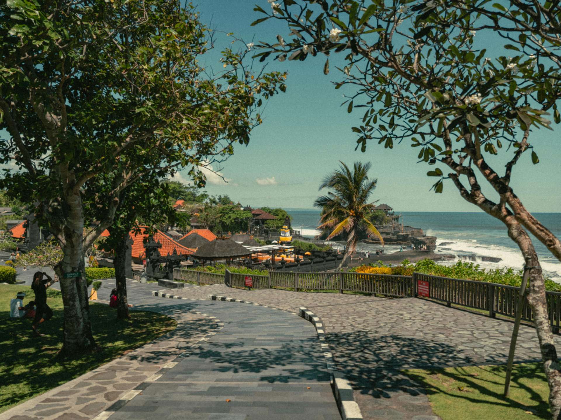 Tours and trips in Bali