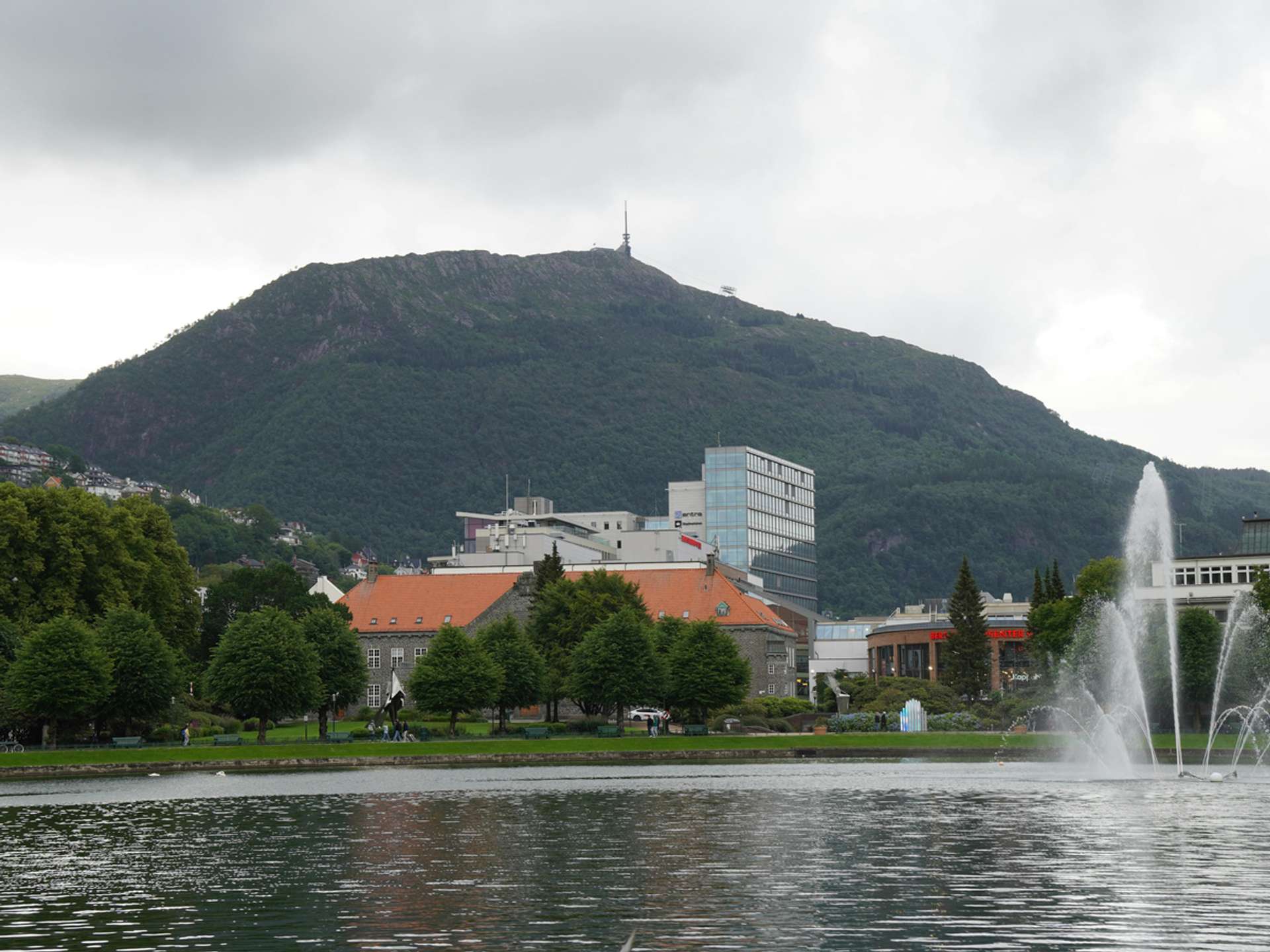 Tours and trips in Bergen