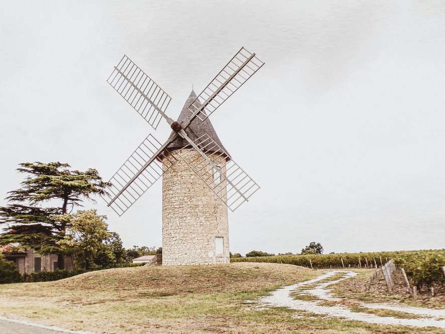 Tours and trips in Bordeaux