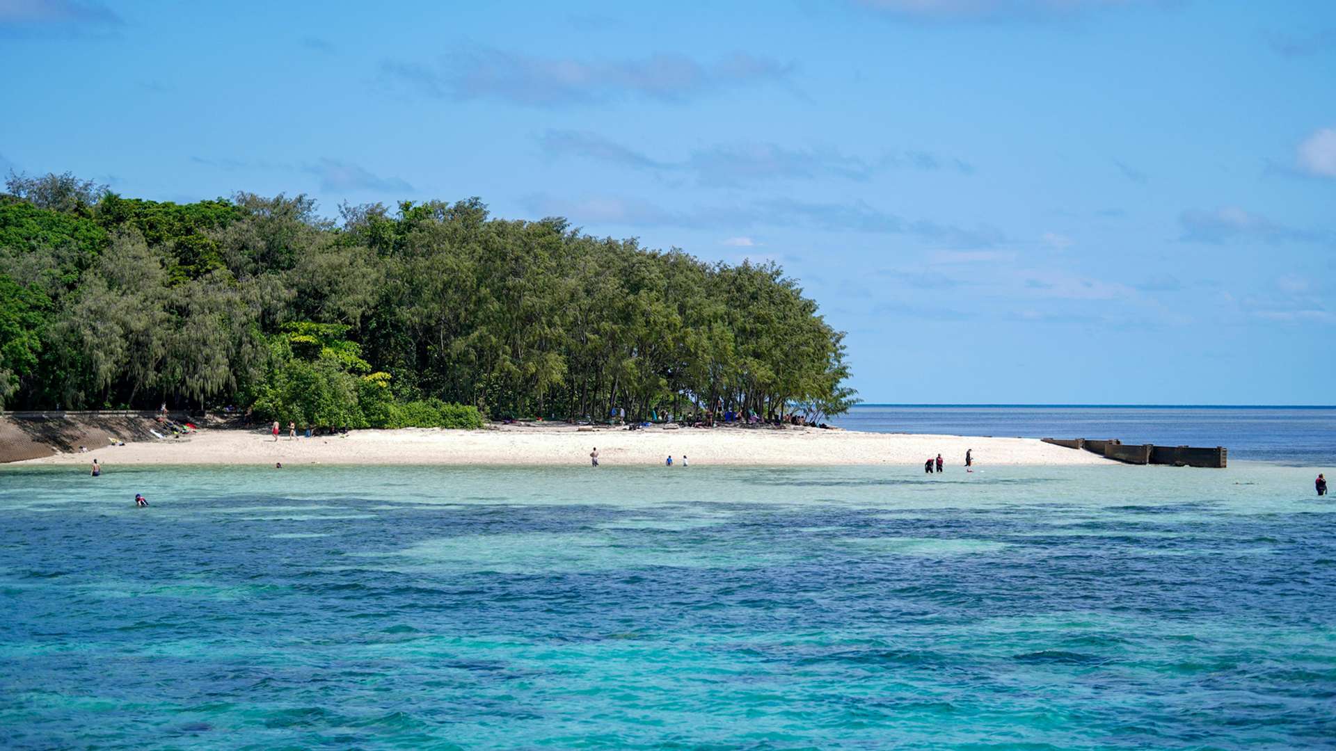 Cairns Tours and Trips