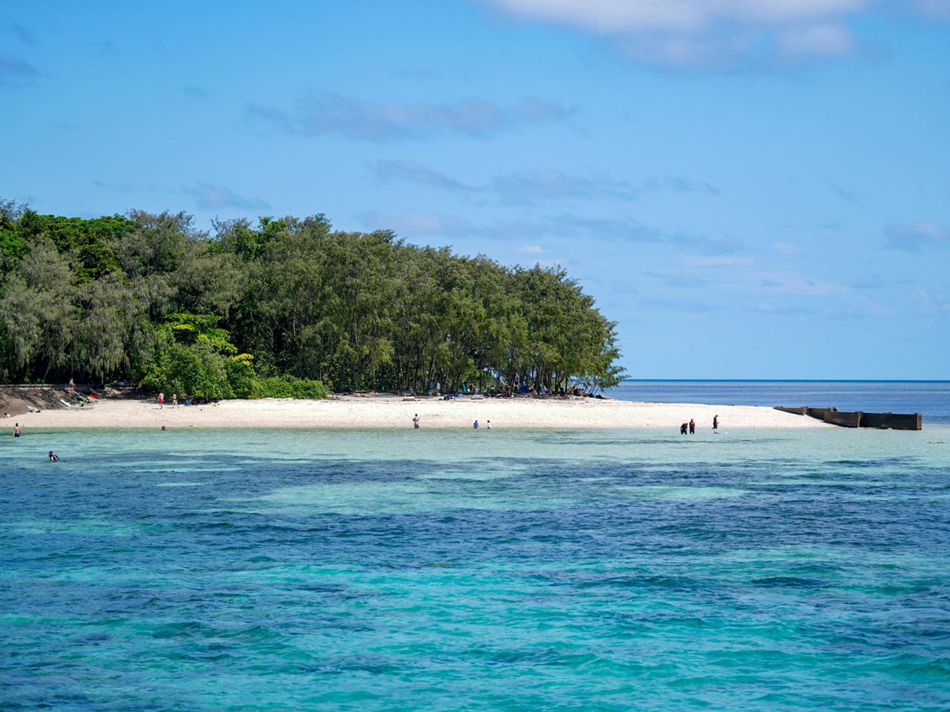 Tours and trips in Cairns
