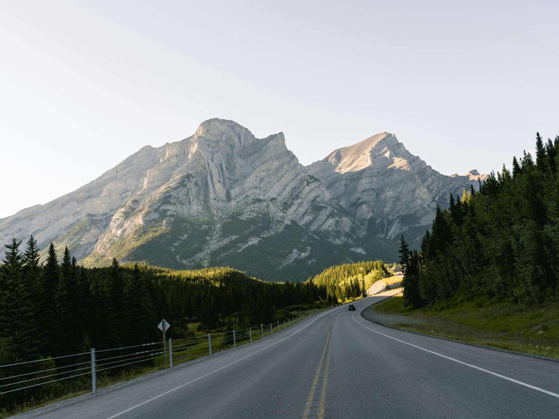 Tours and trips in Calgary