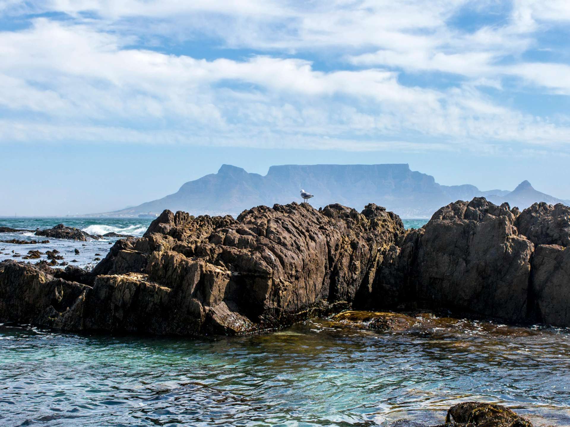 Tours and trips in Cape Town