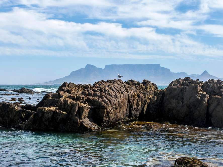 Tours and trips in Cape Town