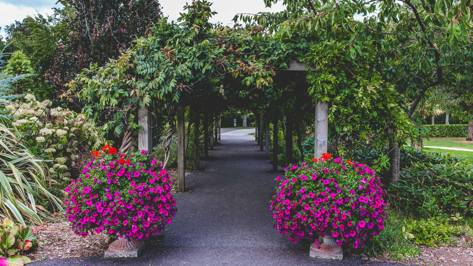 Cork Tours and Trips