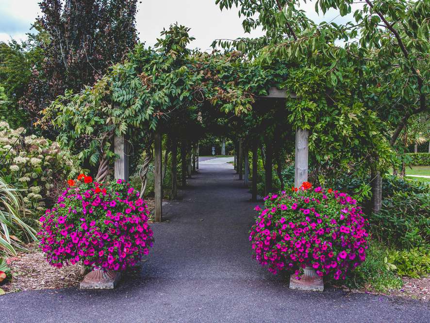 Tours and trips in Cork
