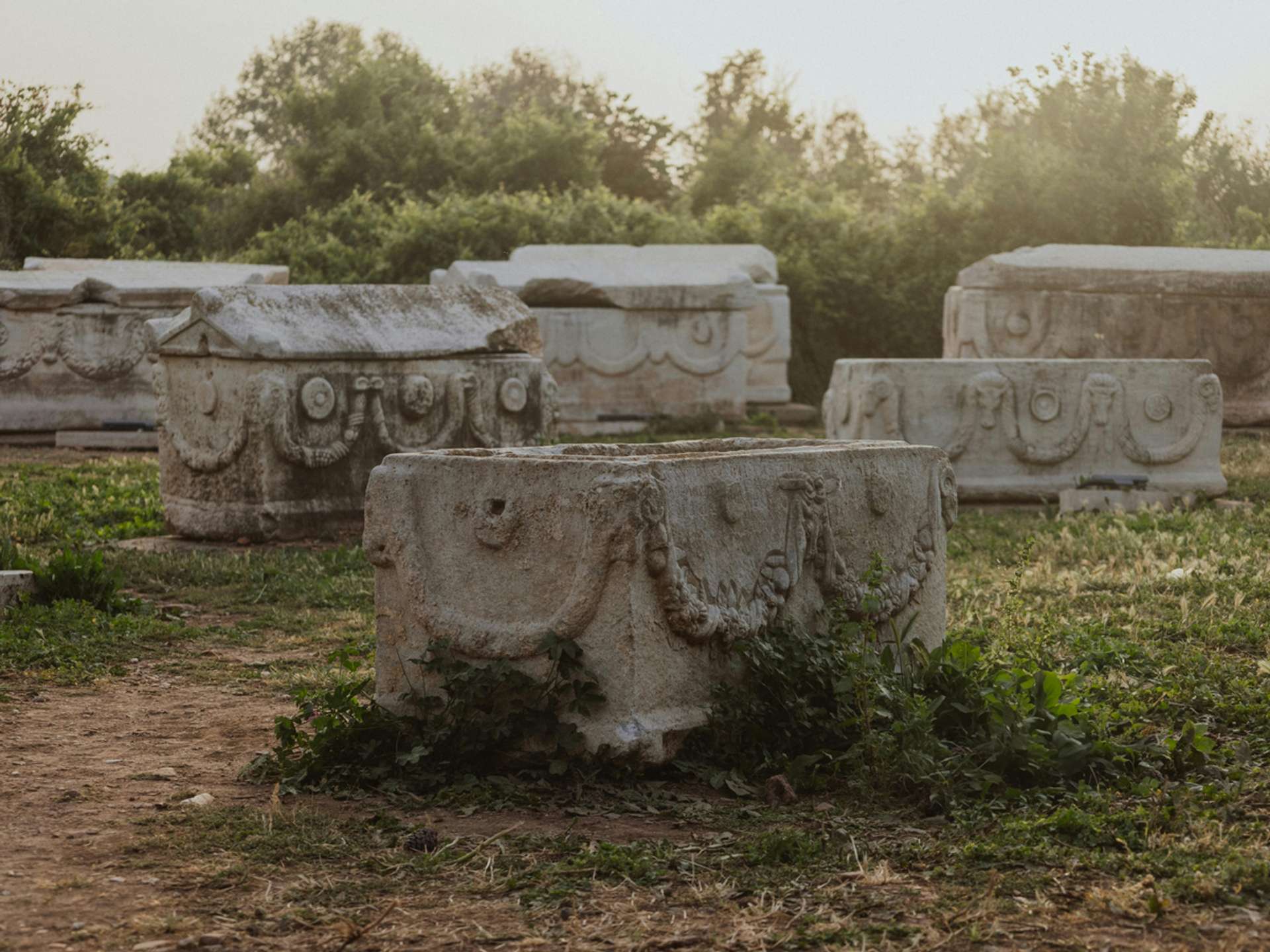 Tours and trips in Ephesus