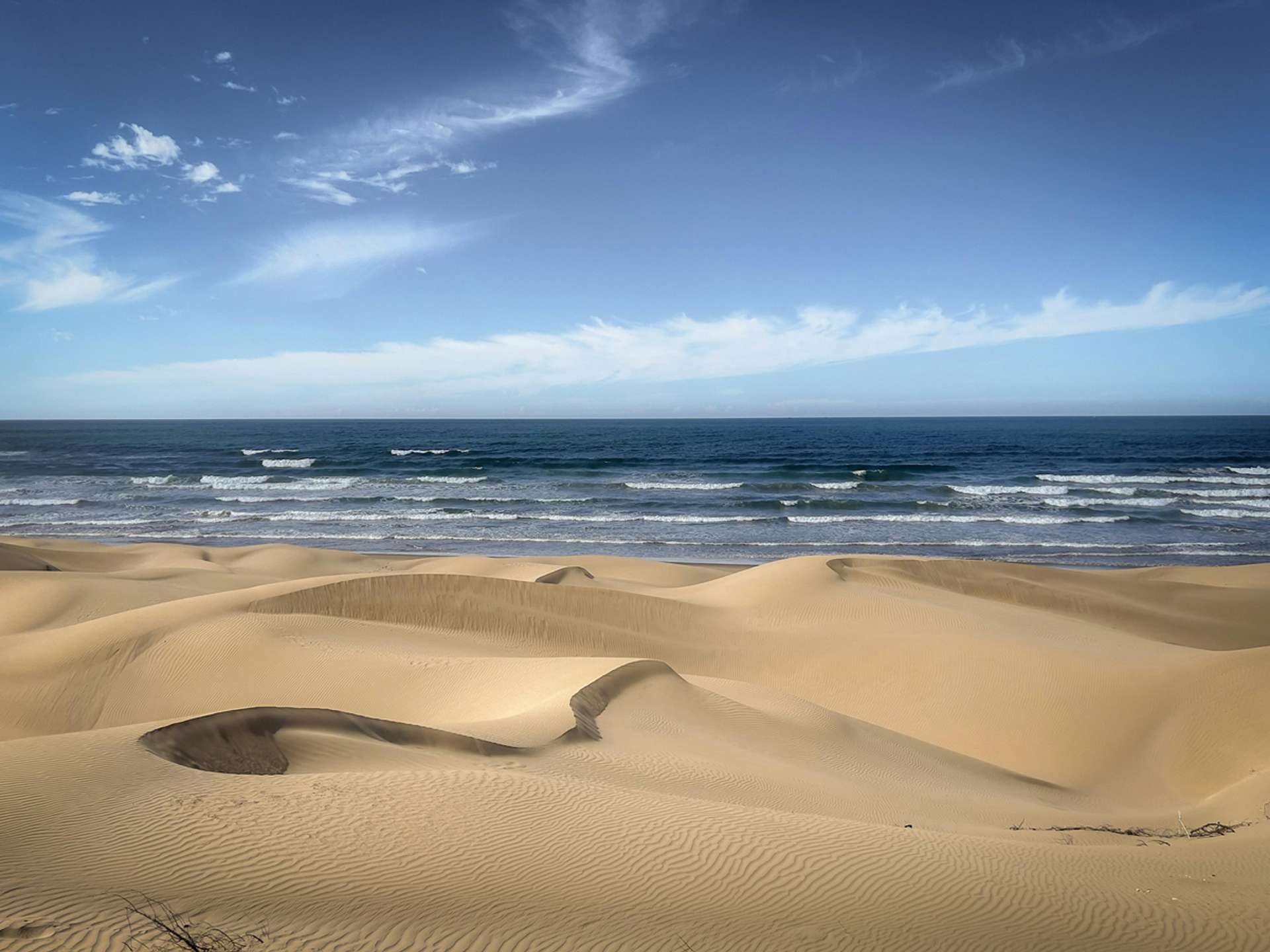 Tours and trips in Essaouira