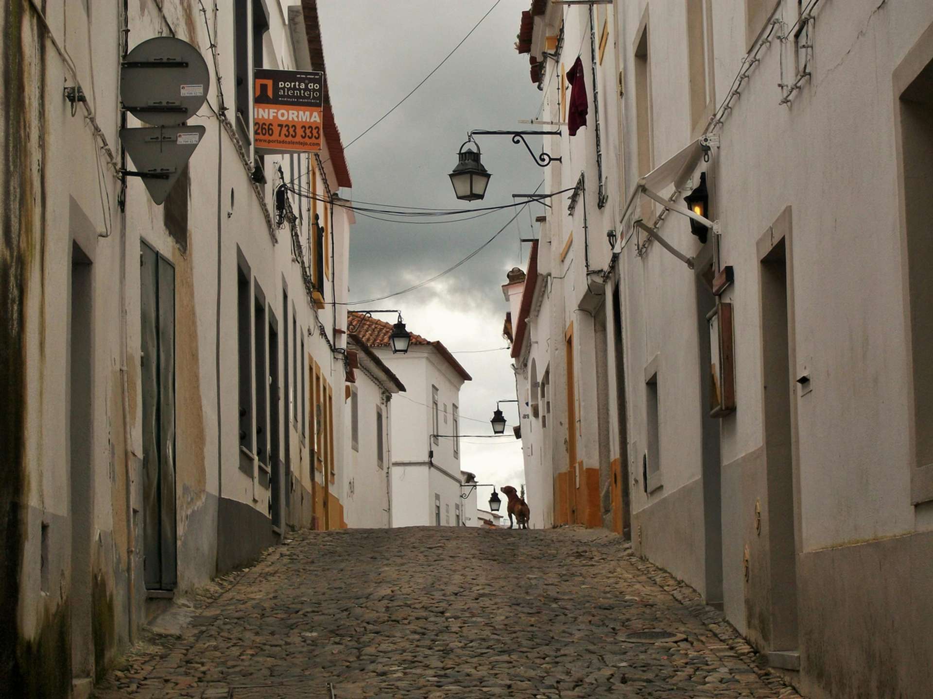 Tours and trips in Evora