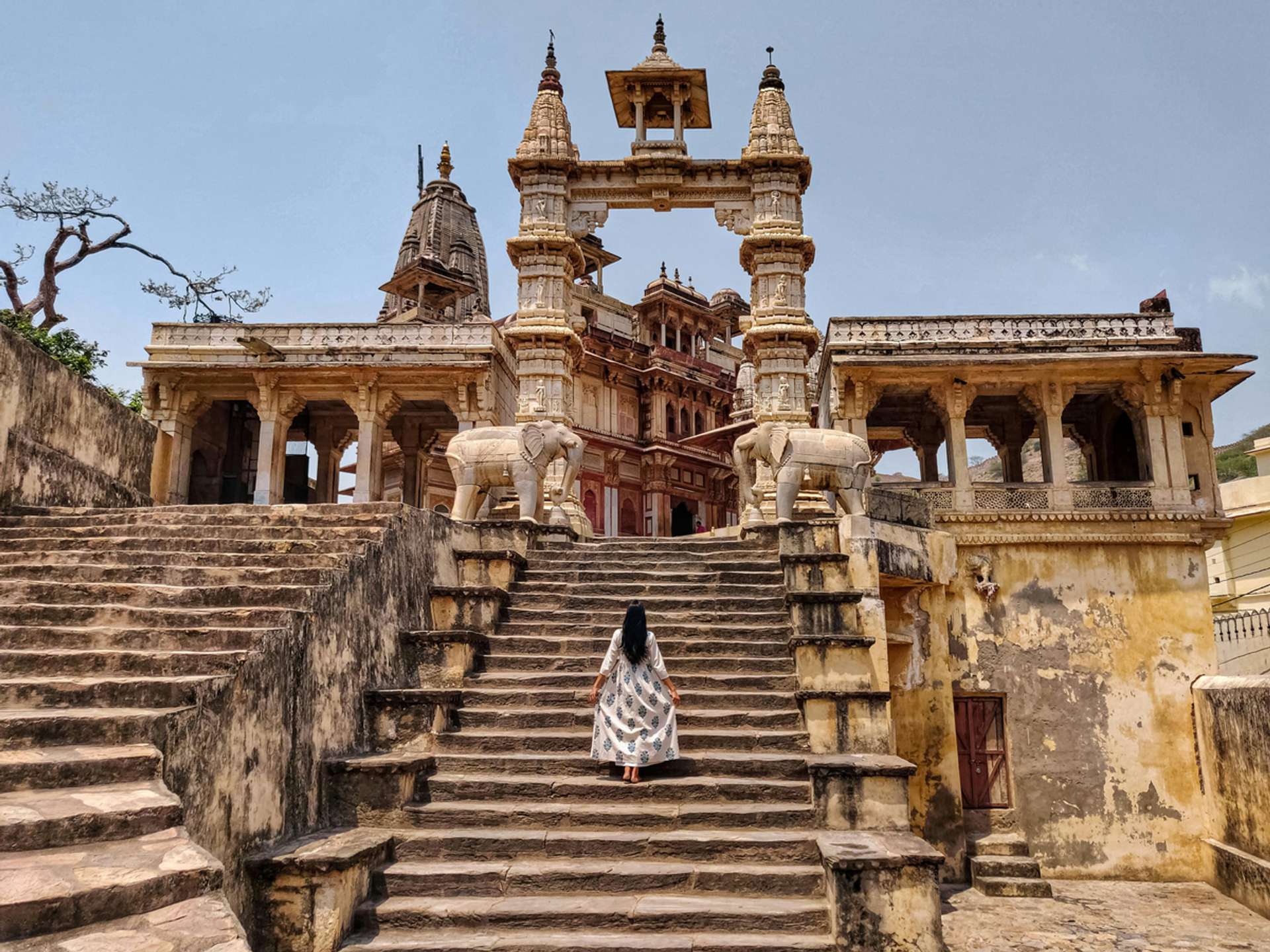 Tours and trips in Jaipur