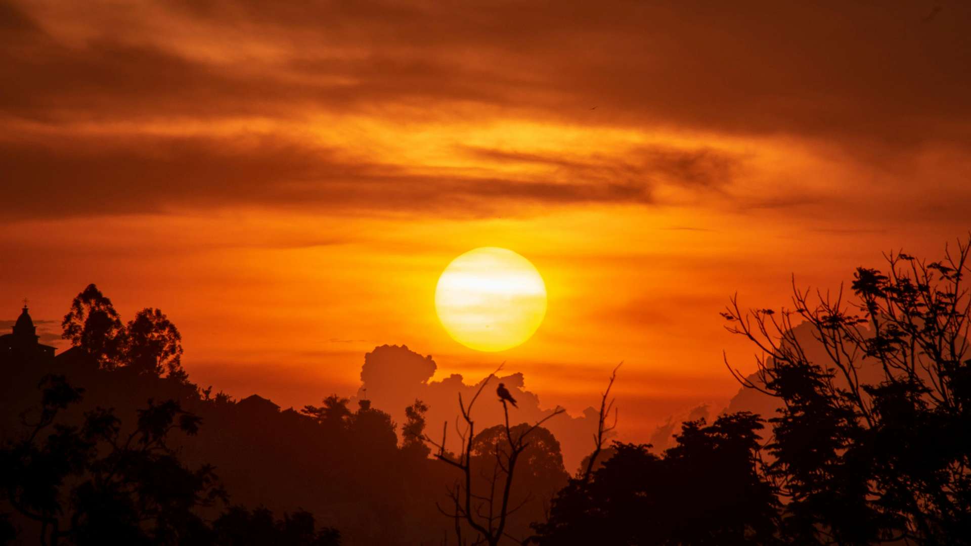 Kampala Tours and Trips