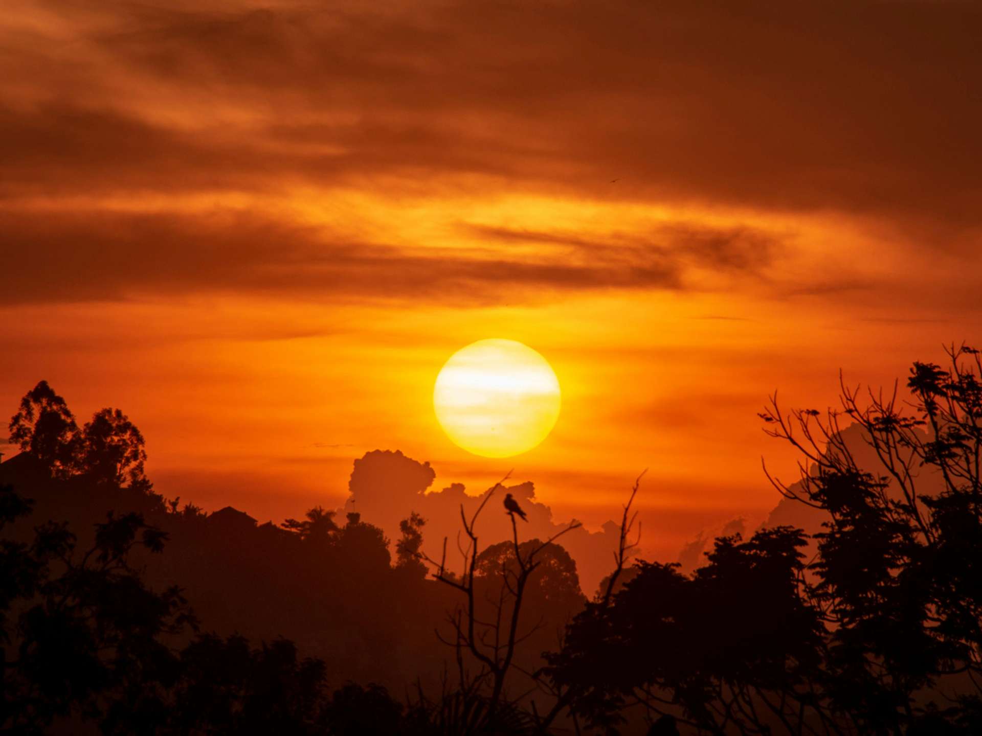 Tours and trips in Kampala