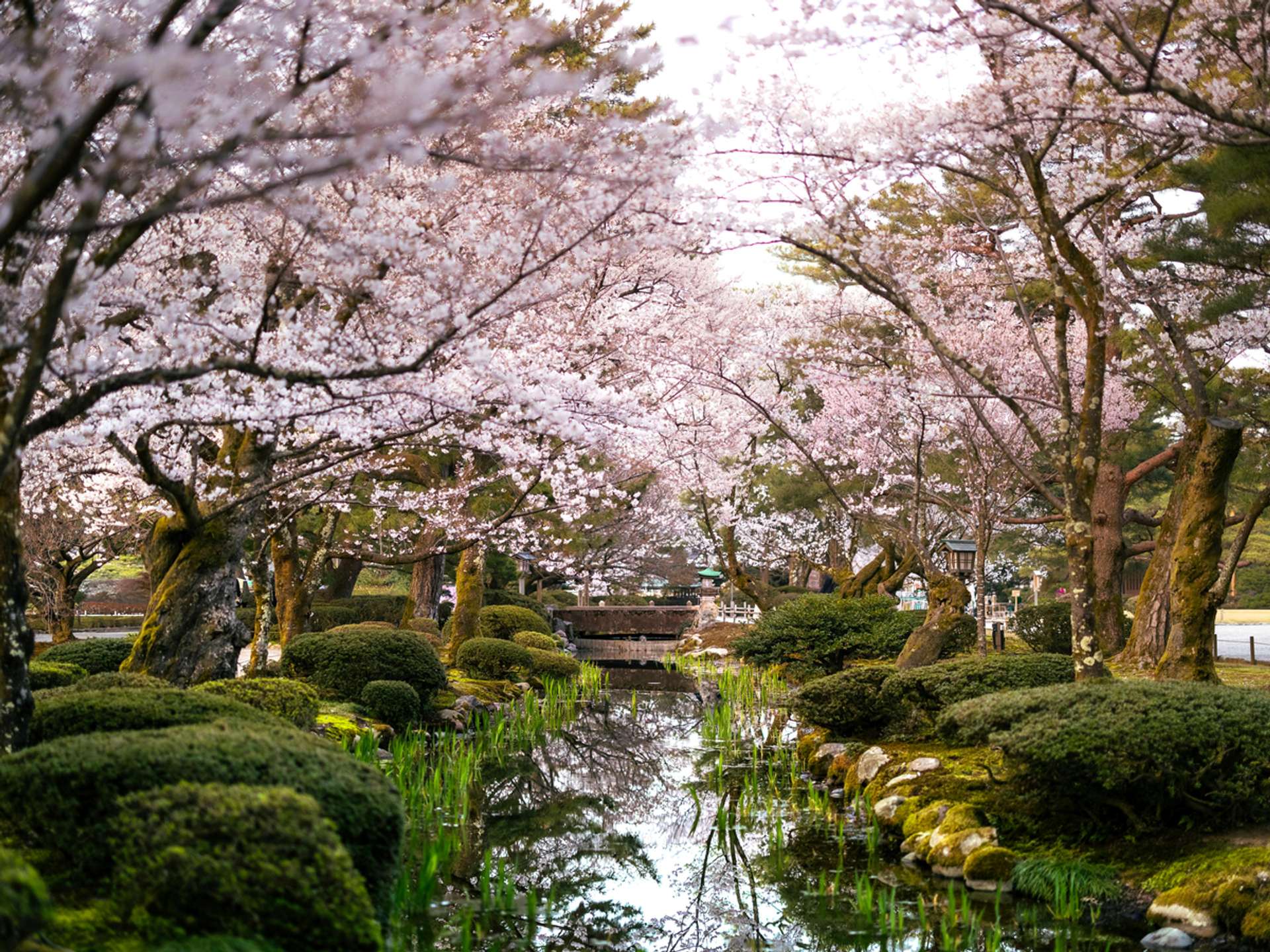 Tours and trips in Kanazawa