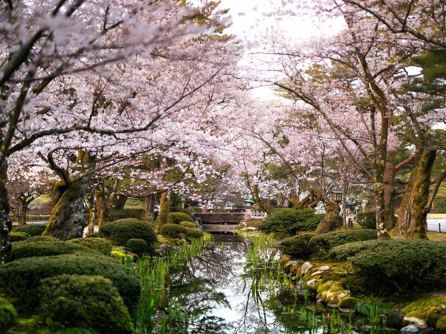 Tours and trips in Kanazawa