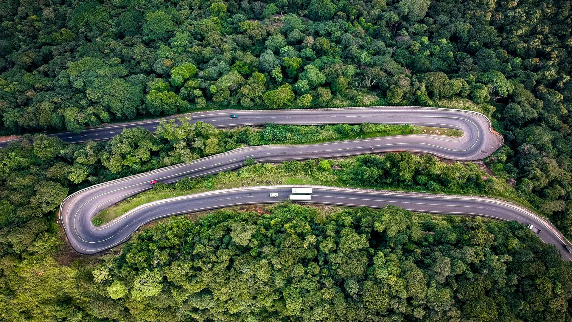 Kandy Tours and Trips