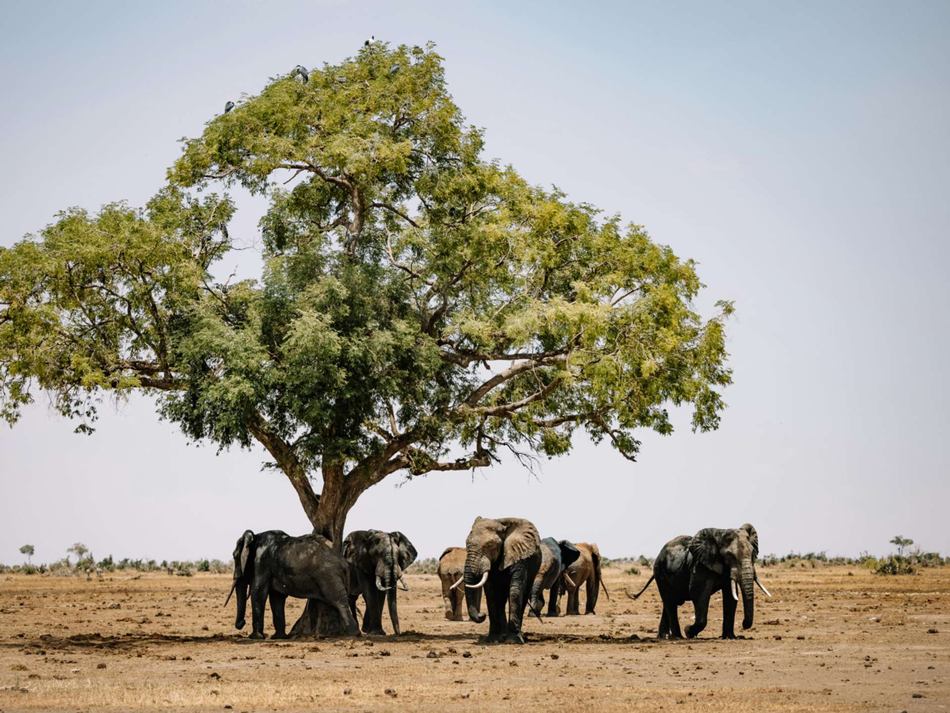 Tours and trips in Kasane