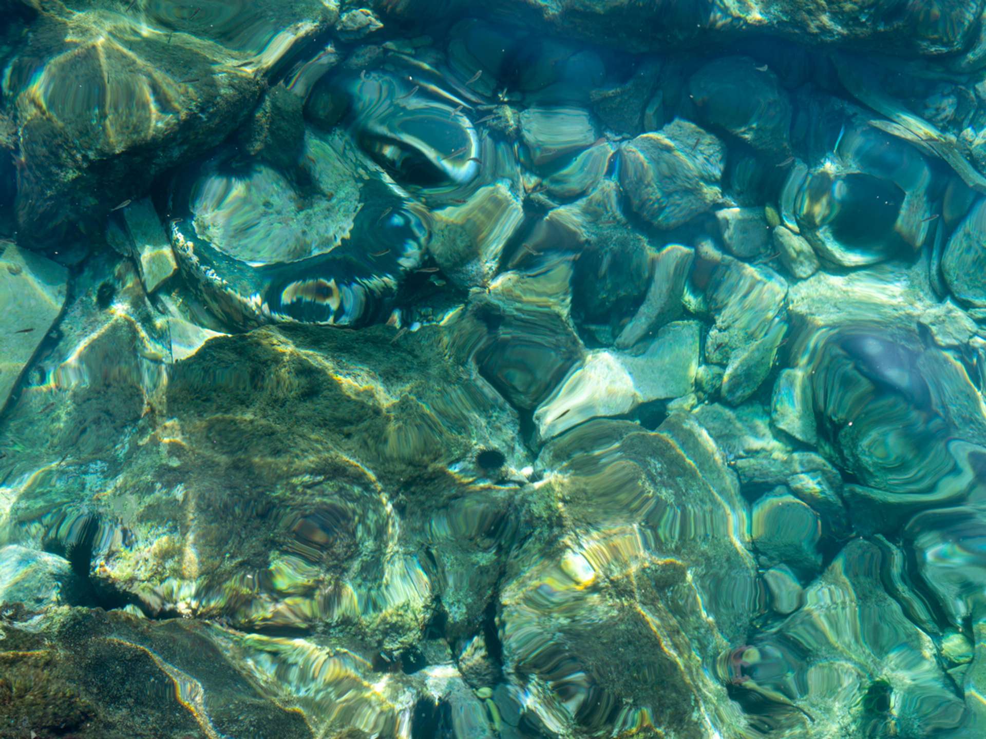 Tours and trips in Kusadasi