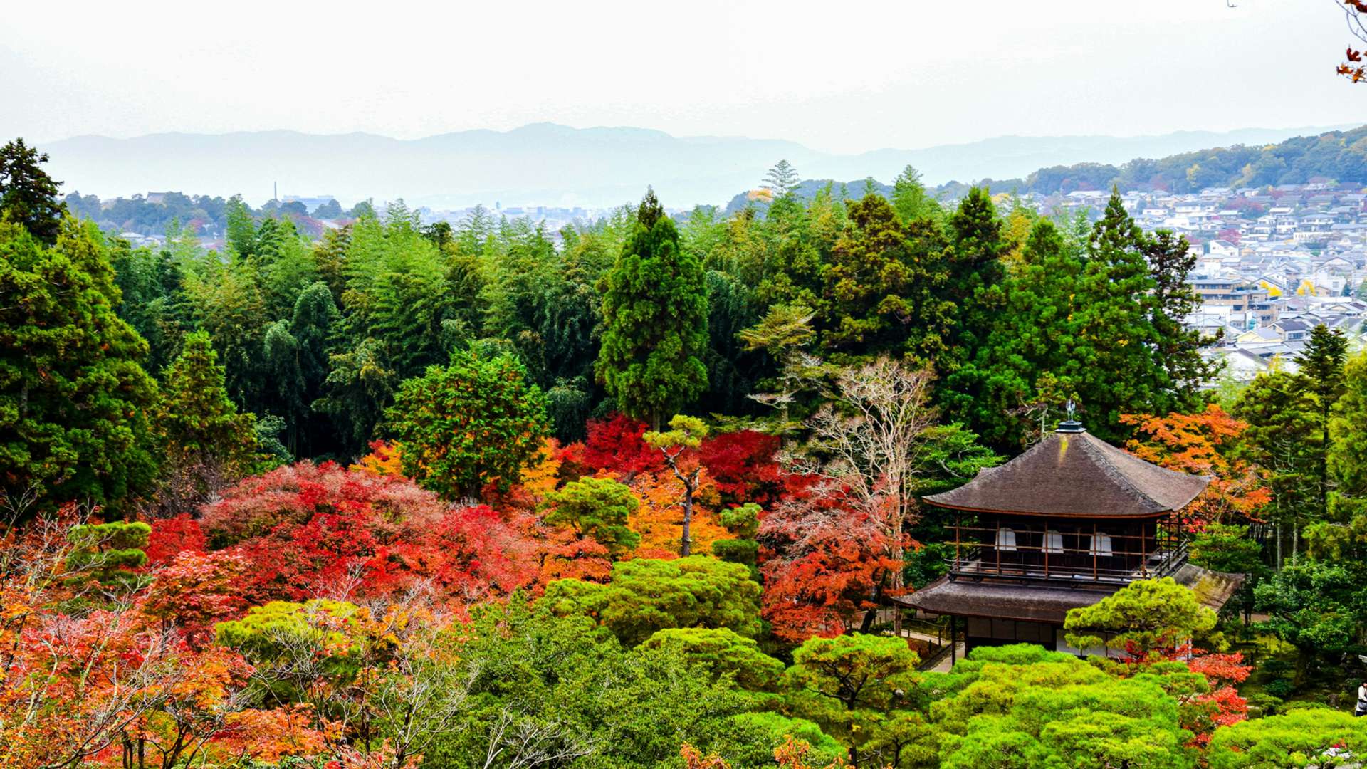 Kyoto Tours and Trips