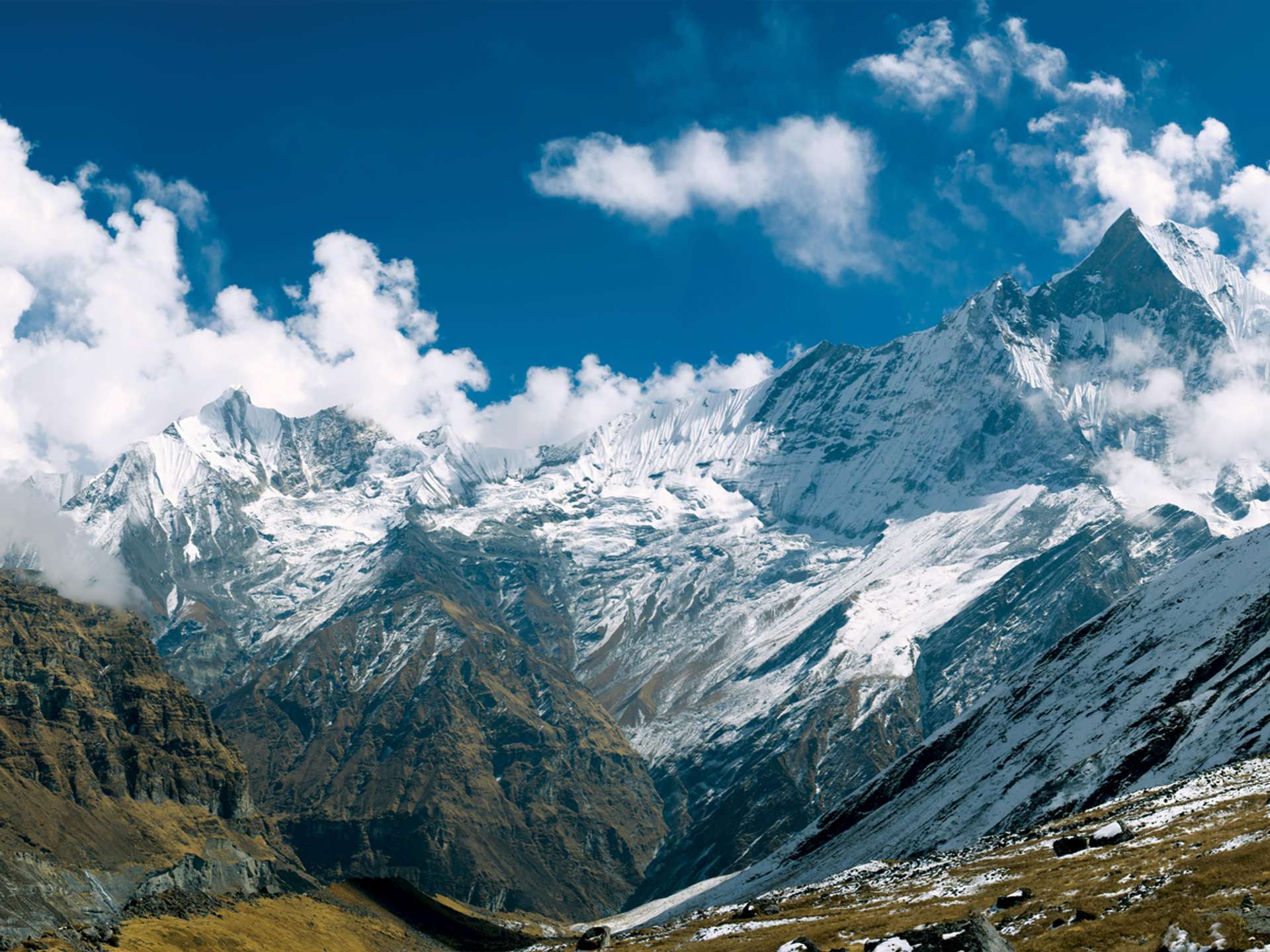 Tours and trips in Langtang trek