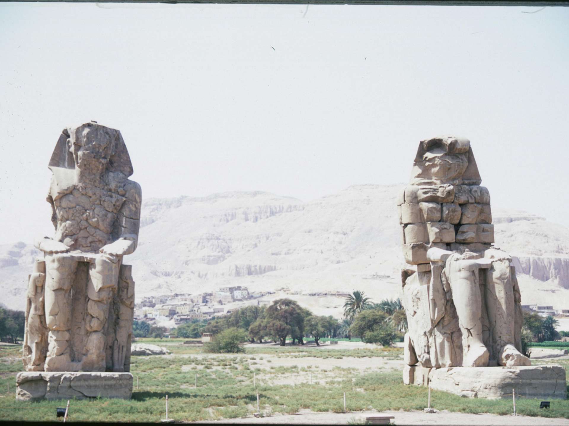 Tours and trips in Luxor