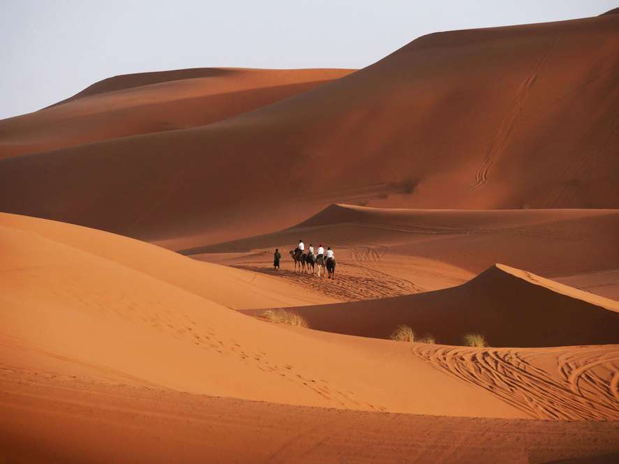 Tours and trips in Marrakesh