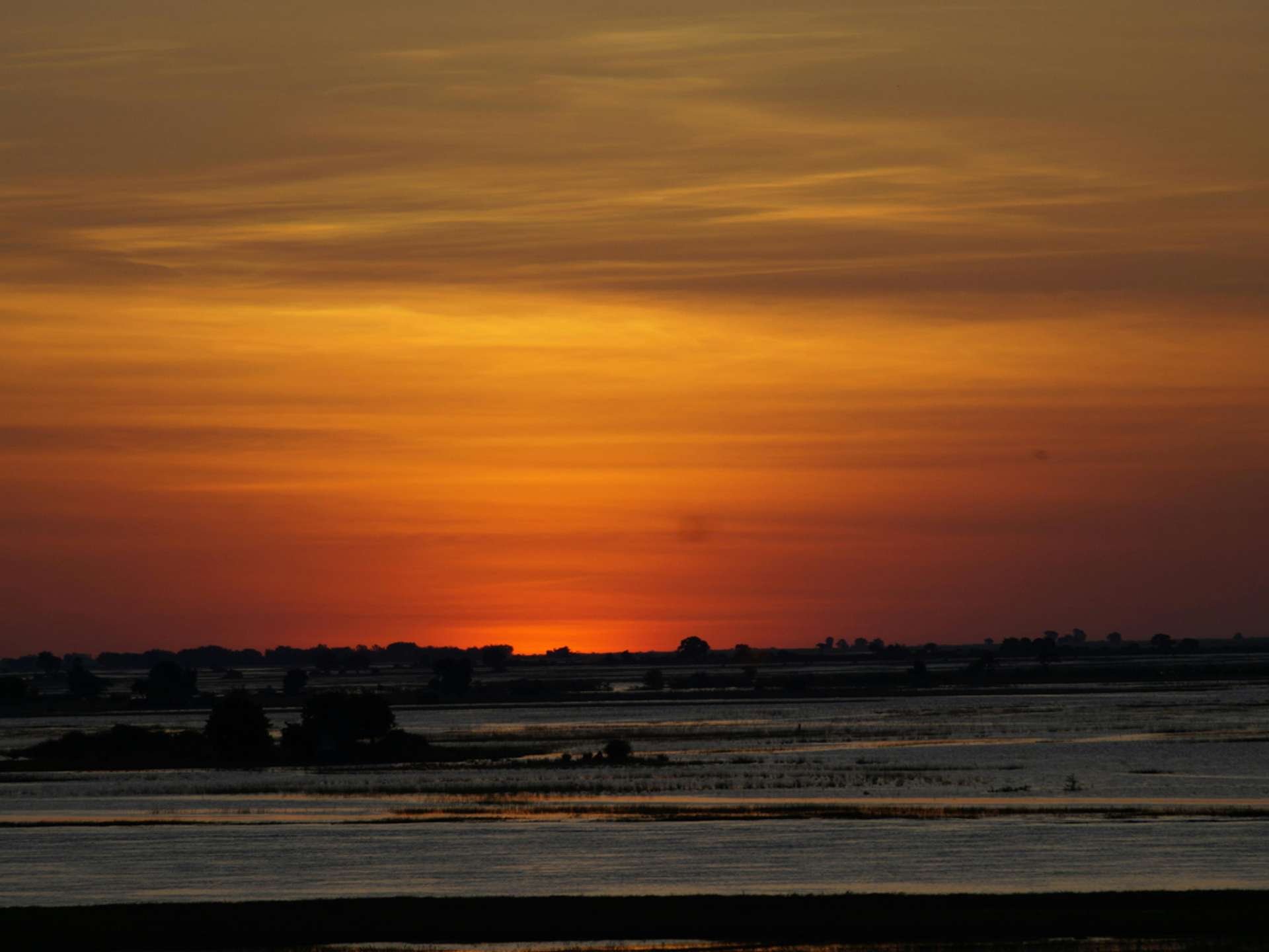 Tours and trips in Maun