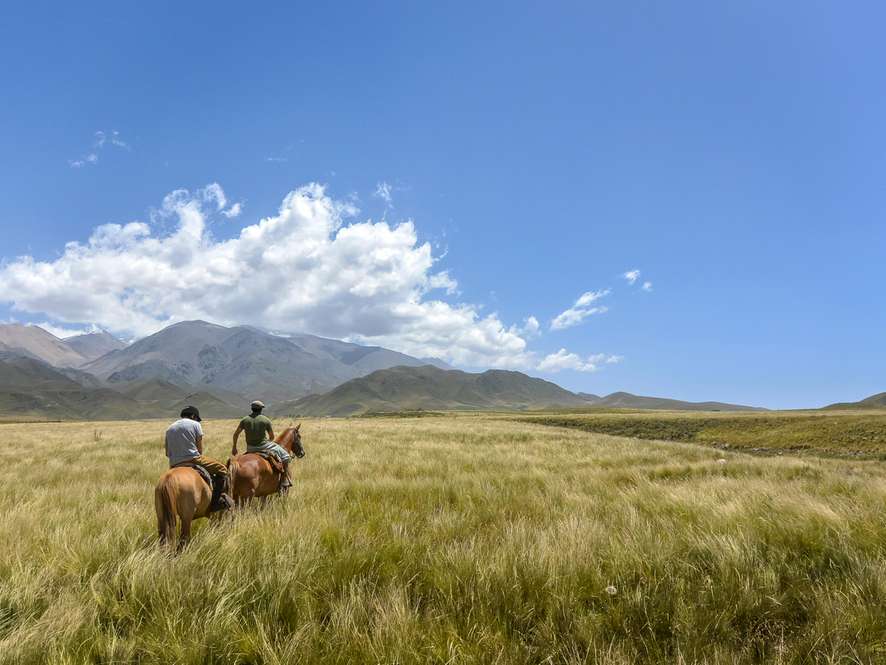 Tours and trips in Mendoza