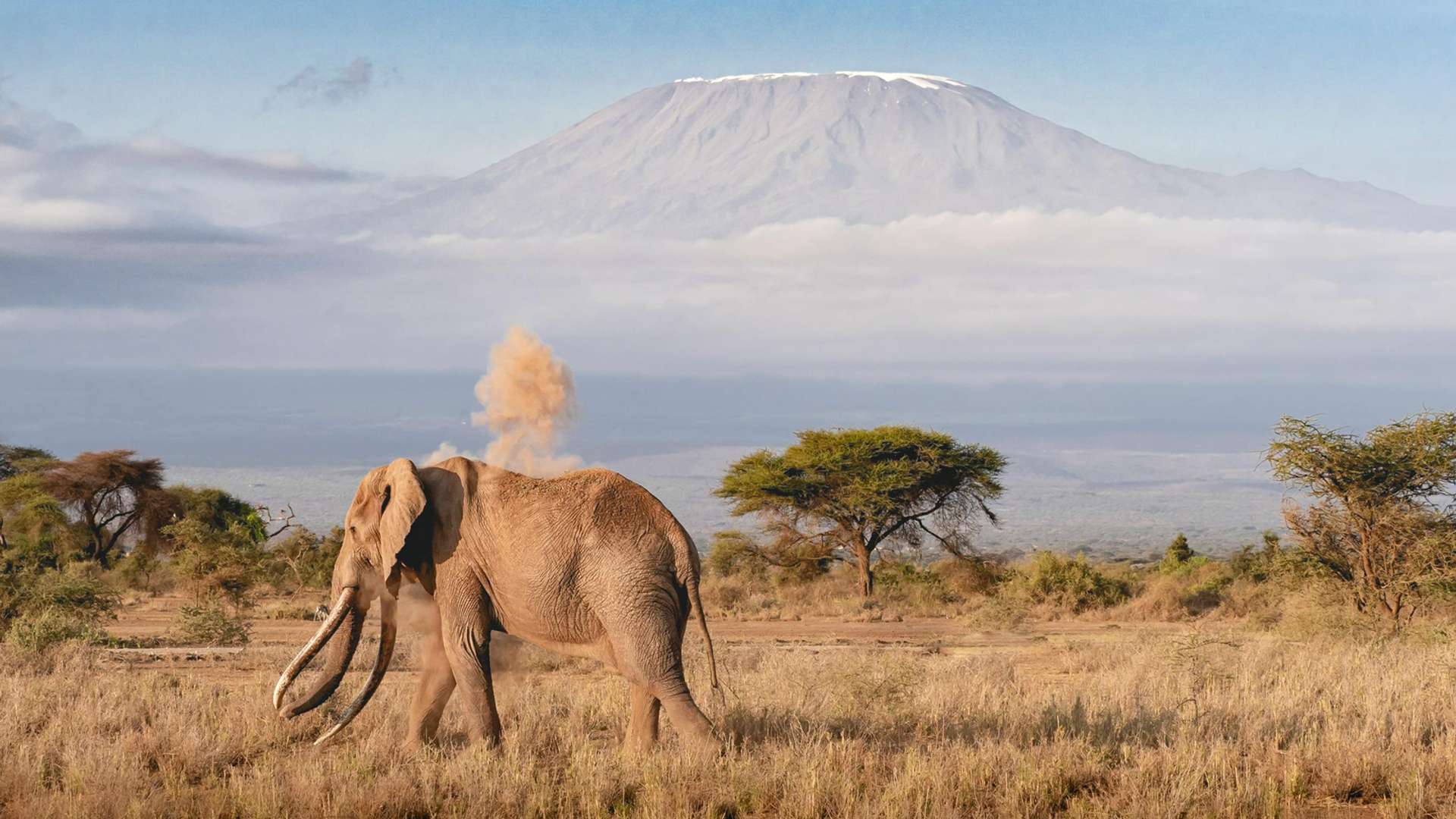 Moshi Tours and Trips