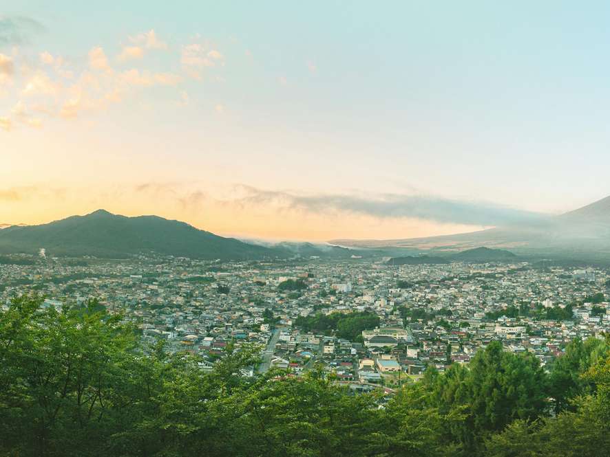 Tours and trips in Mount Koya