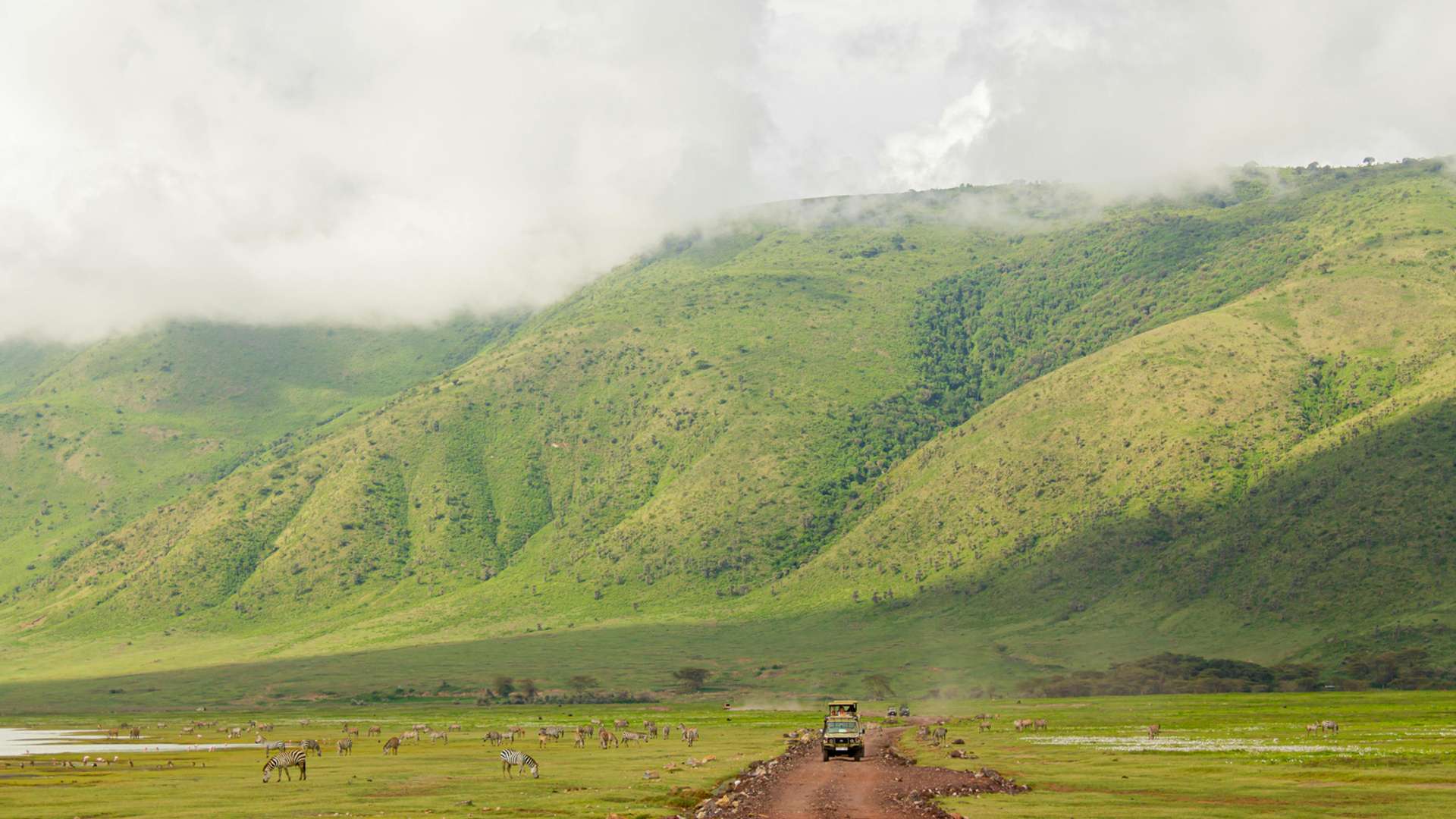 Ngorongoro Crater Safari