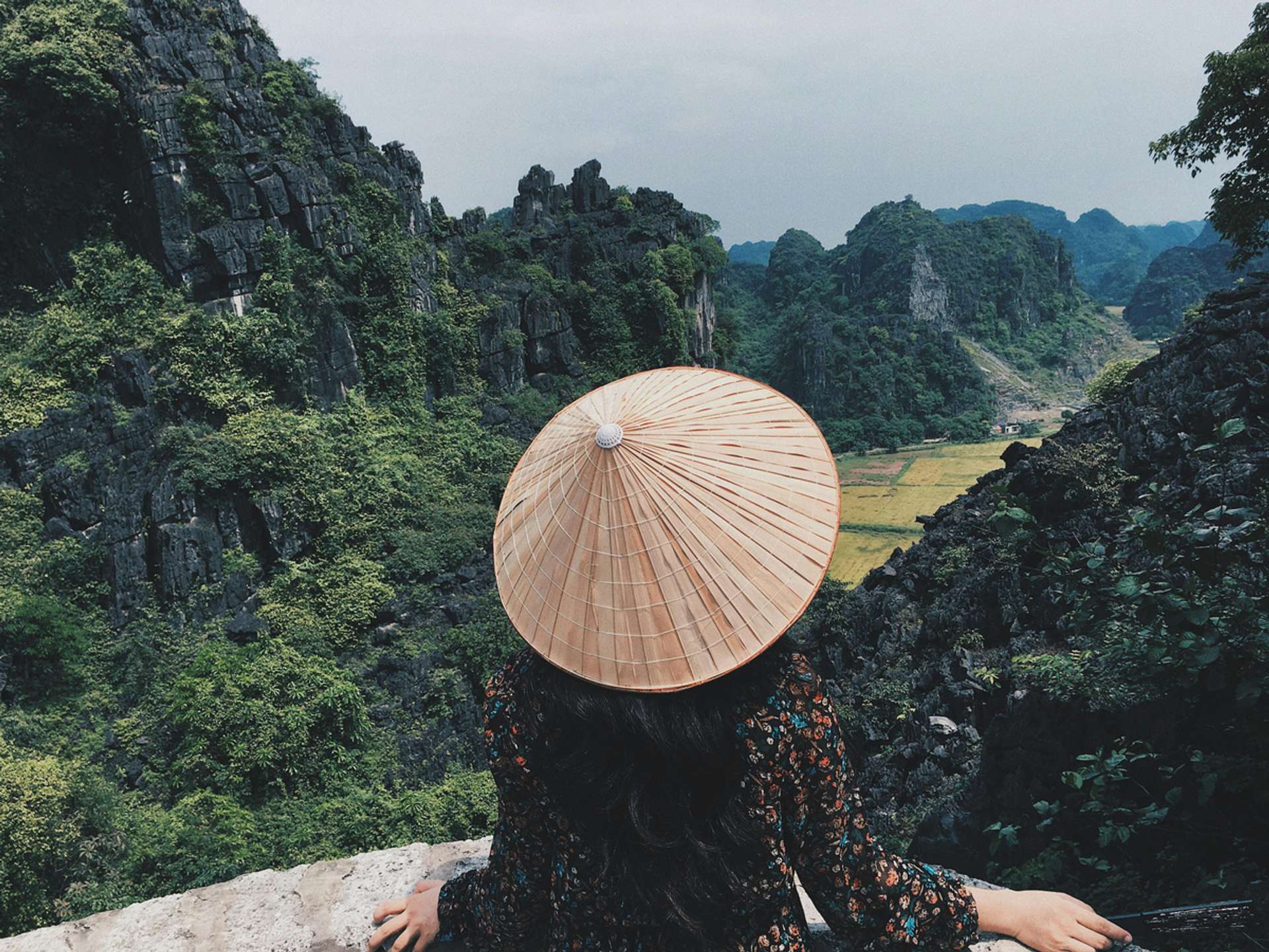 Tours and trips in Ninh Binh