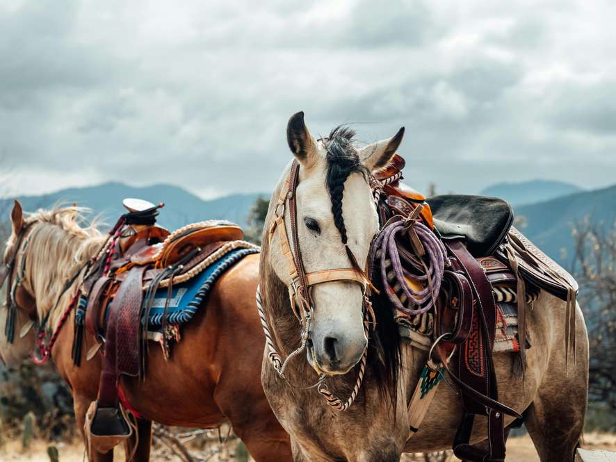 Tours and trips in Oaxaca