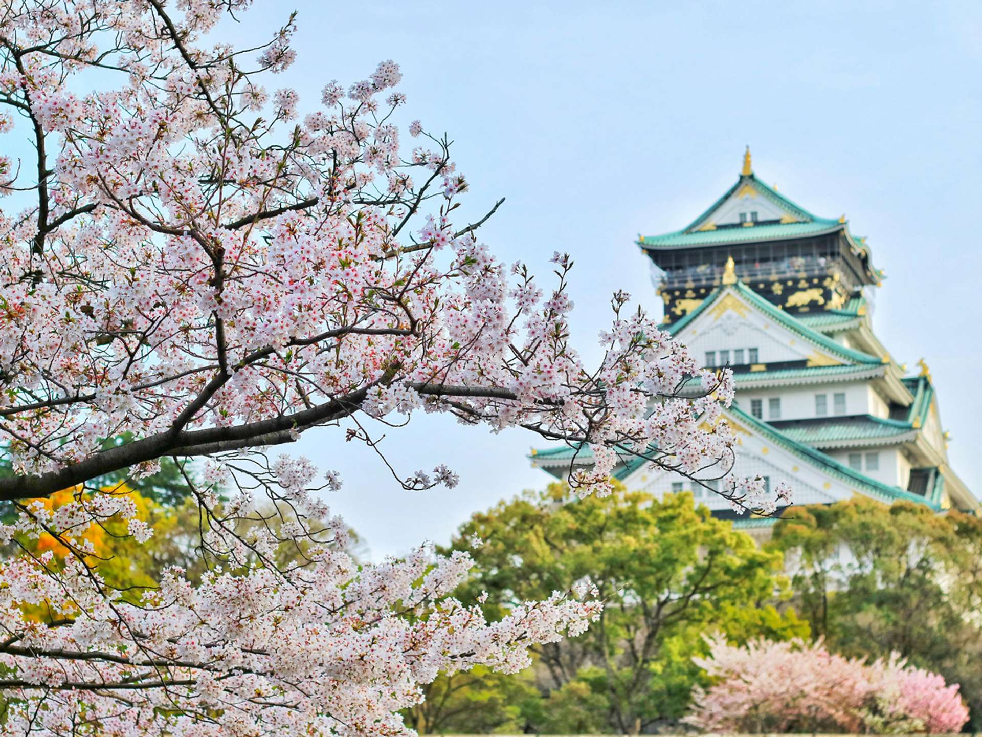 Tours and trips in Osaka