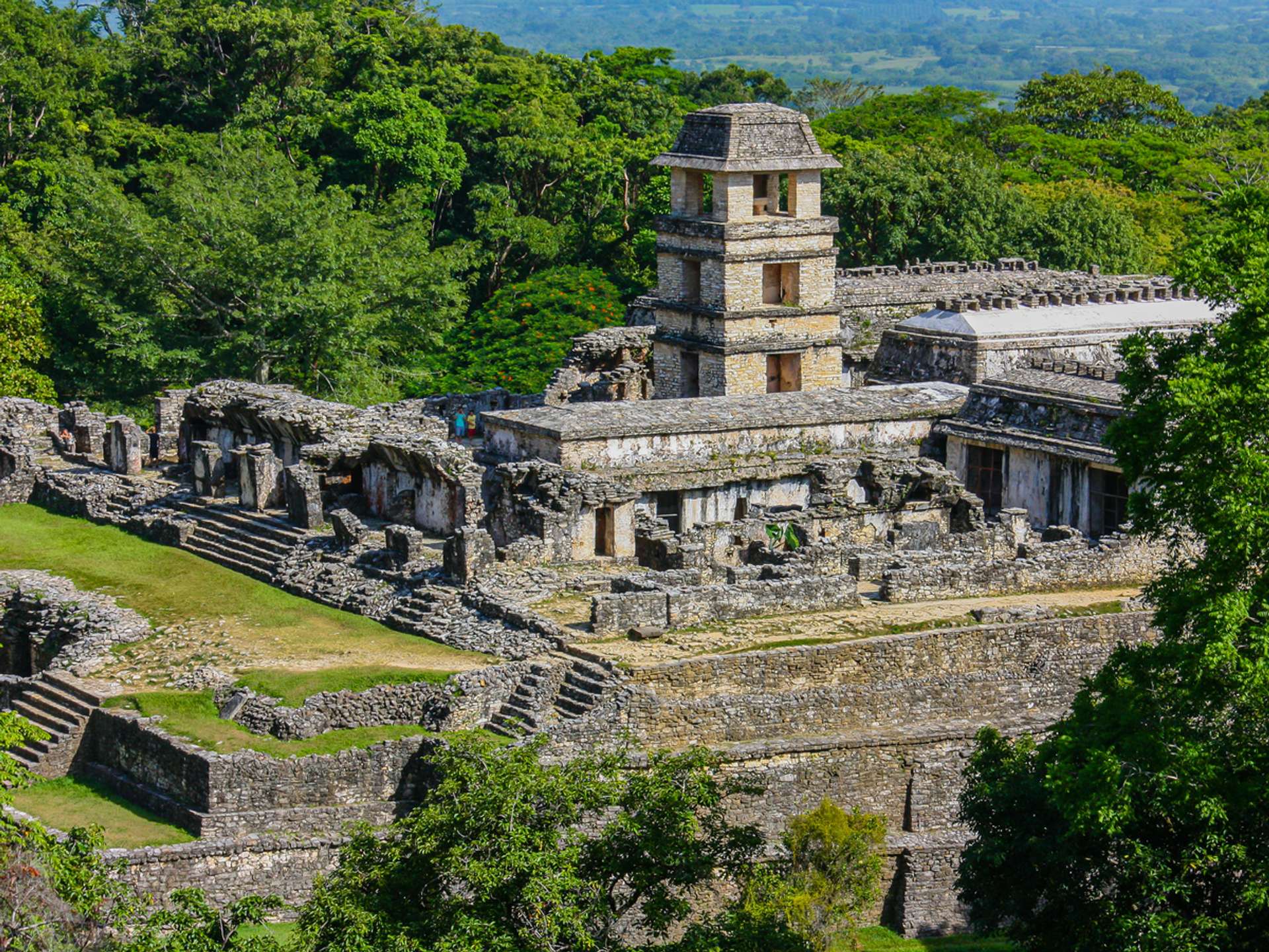 Tours and trips in Palenque