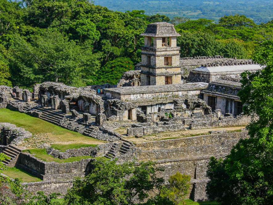 Tours and trips in Palenque
