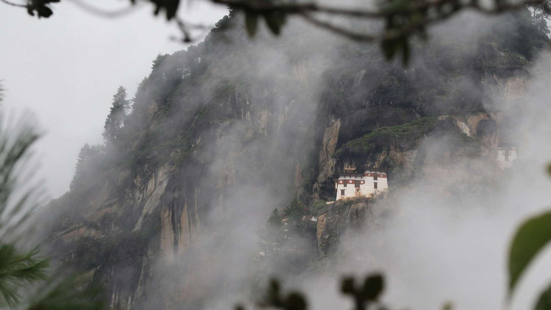 Paro Tours and Trips