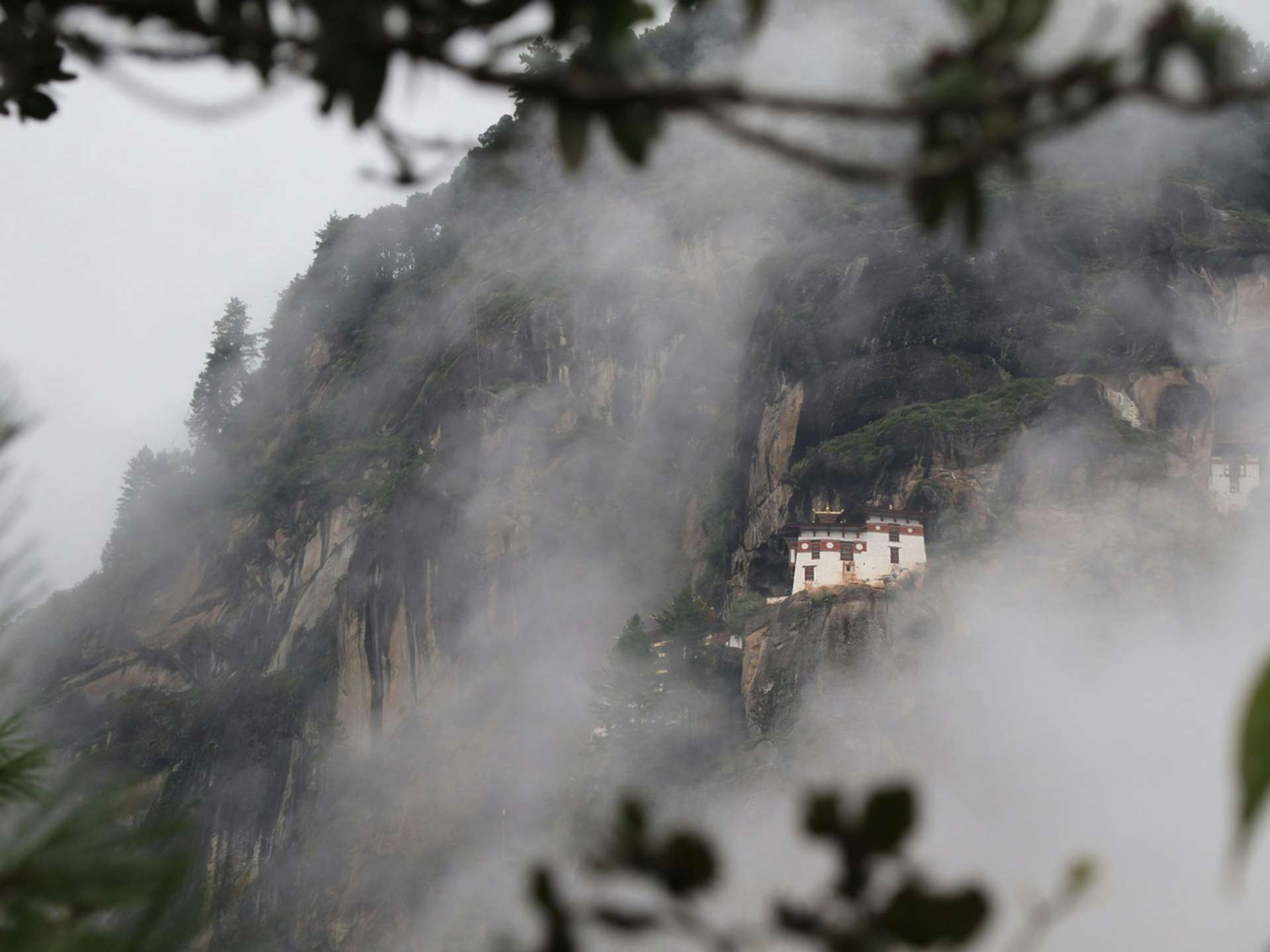 Tours and trips in Paro