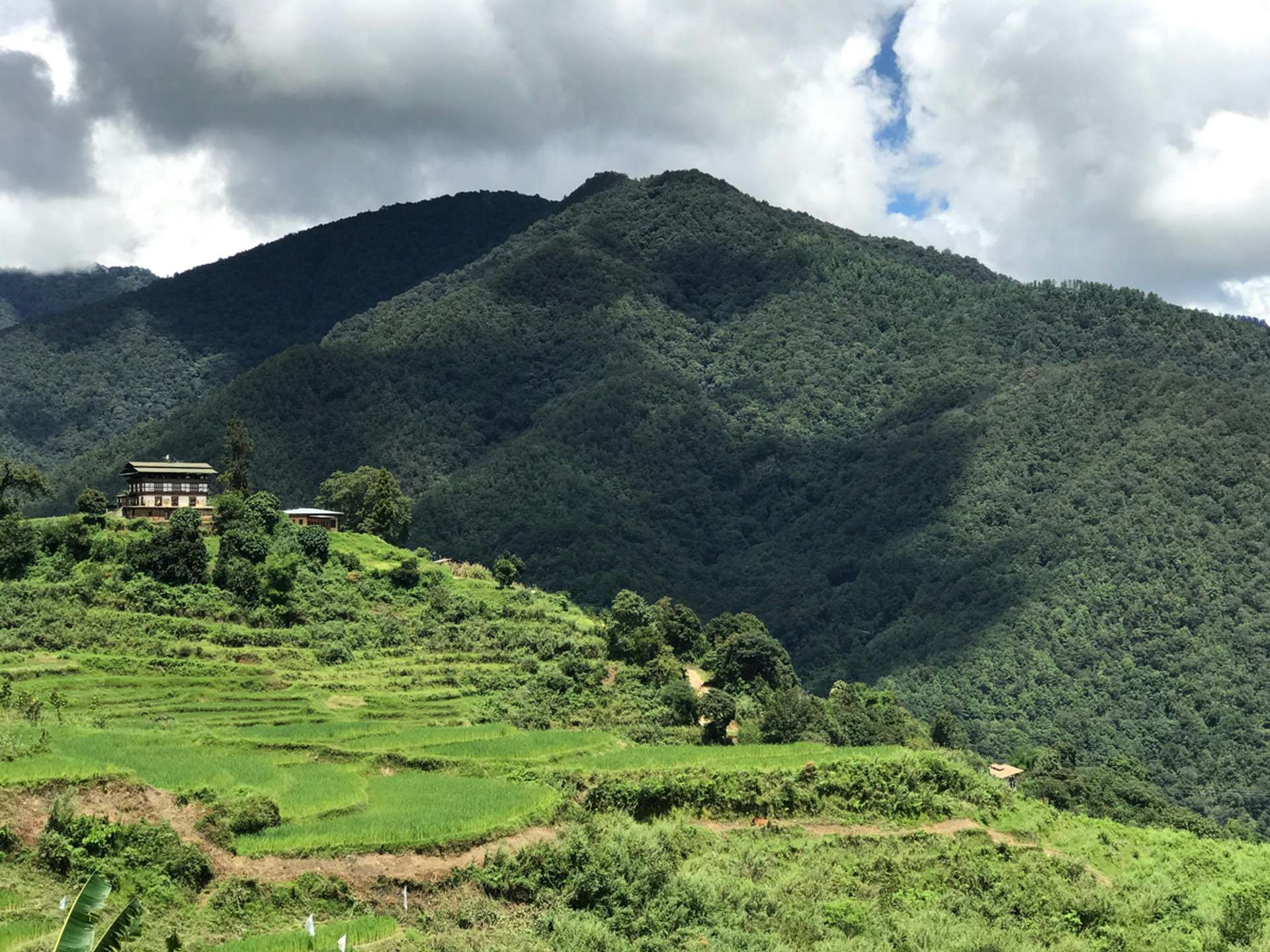 Tours and trips in Punakha