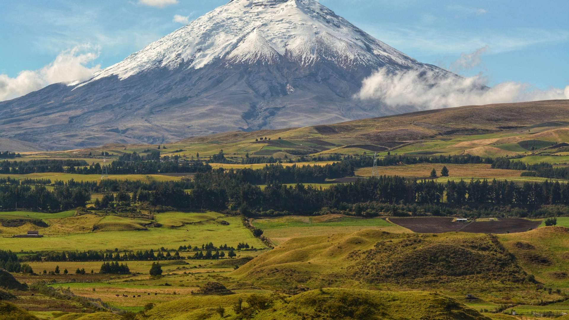 Quito Tours and Trips
