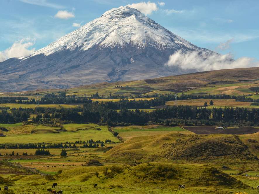 Tours and trips in Quito
