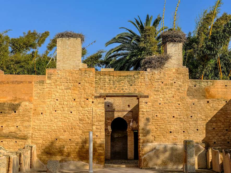 Tours and trips in Rabat