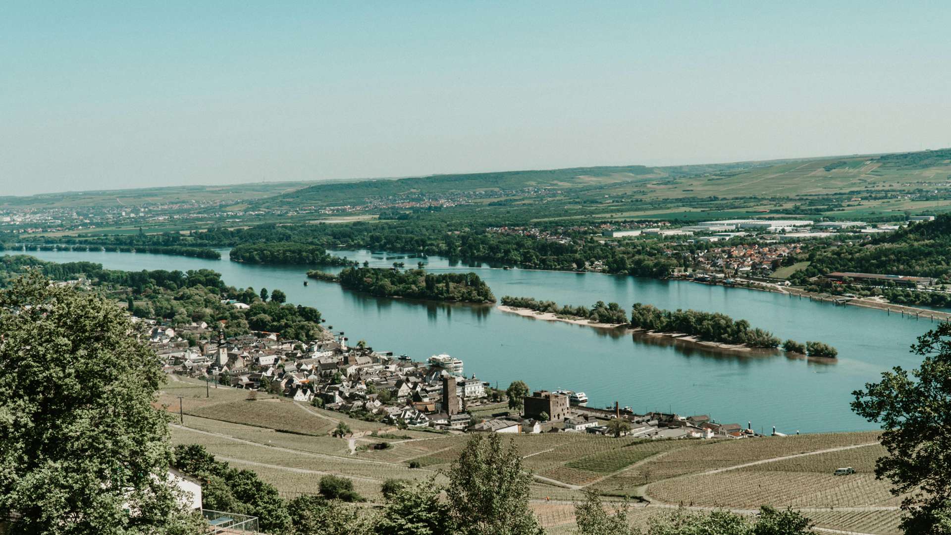 Rüdesheim Tours and Trips