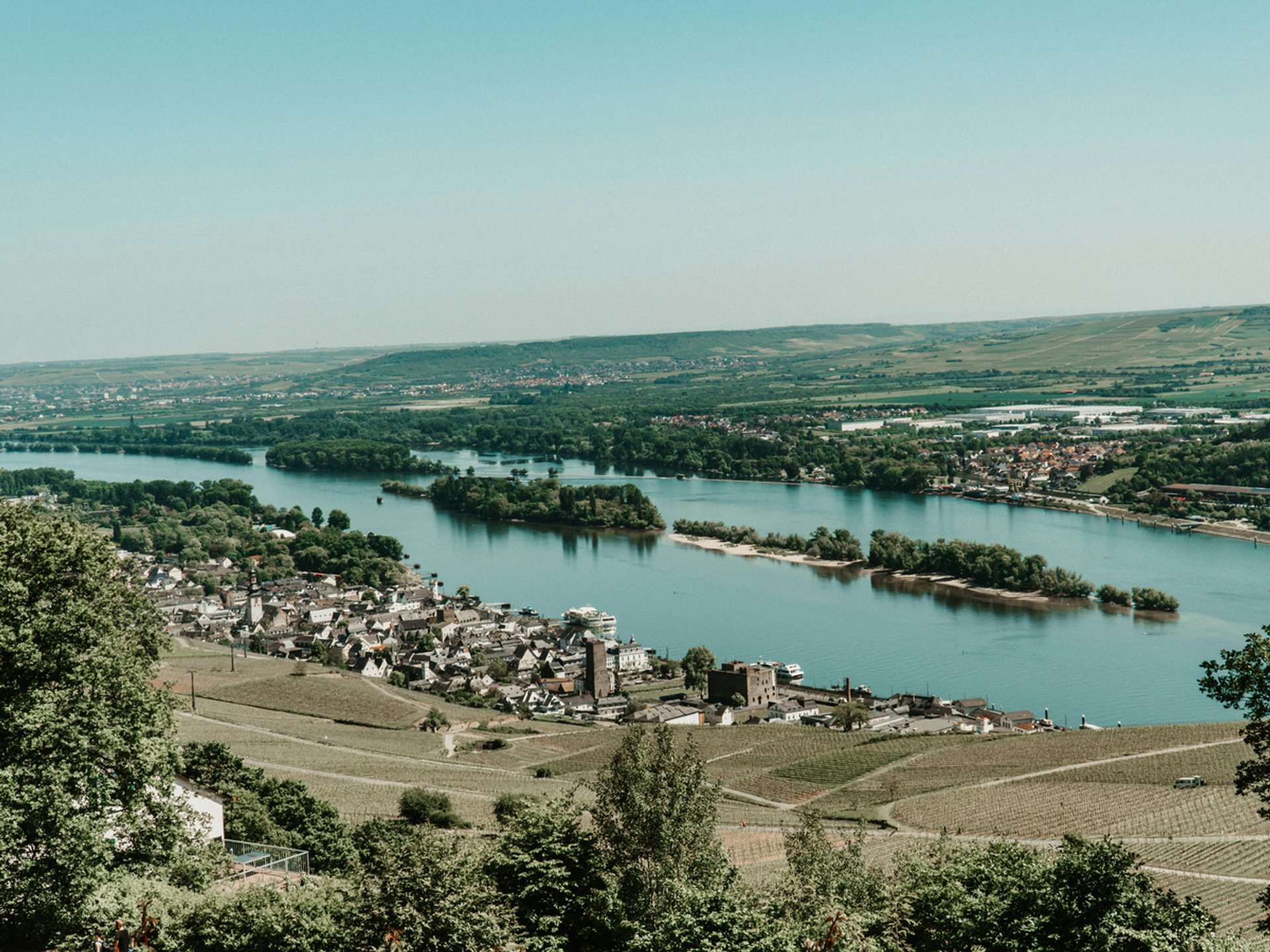 Tours and trips in Rüdesheim