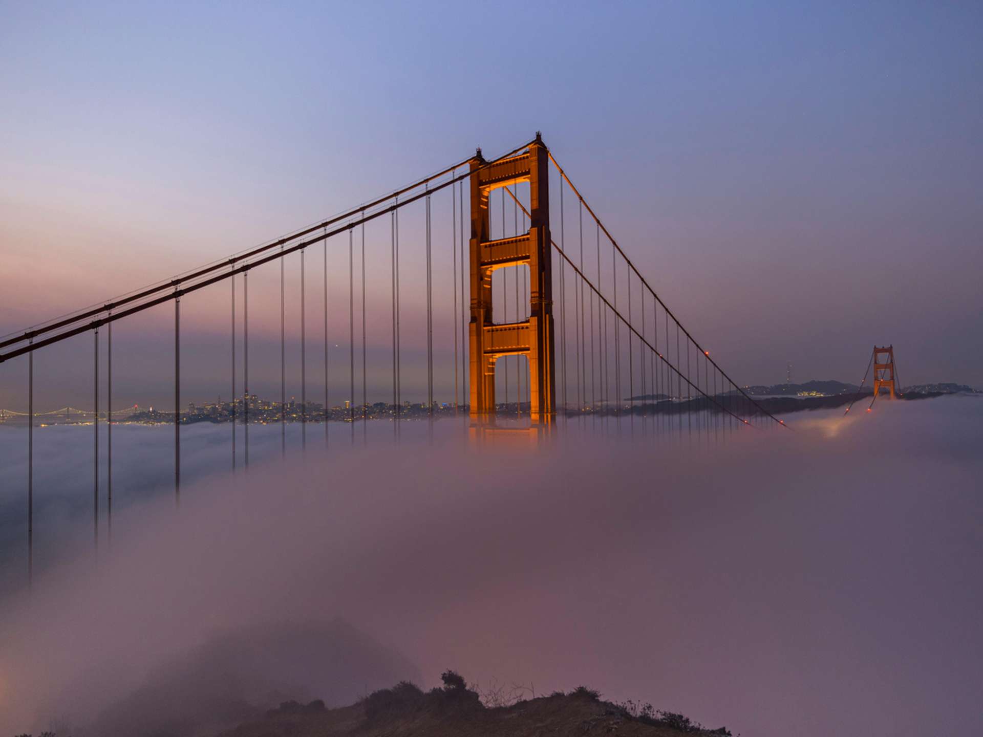 Tours and trips in San Francisco