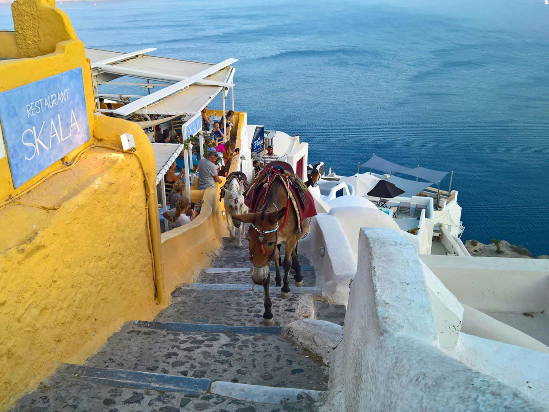Tours and trips in Santorini